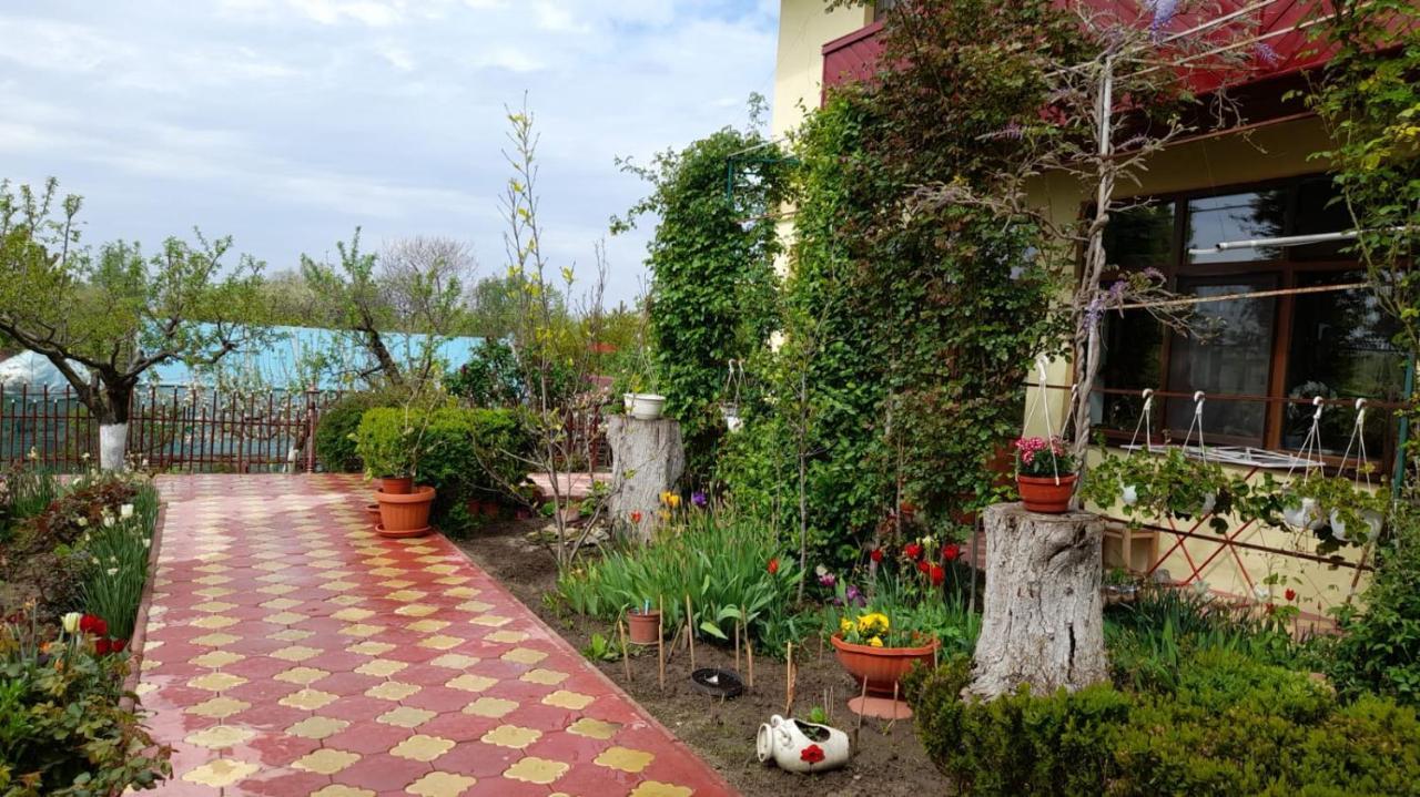 Pensiunea Anda Tulcea Exteriér fotografie