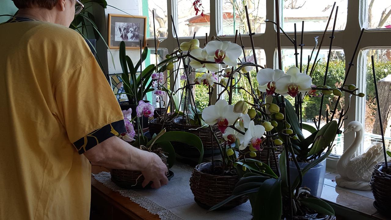 Pensiunea Anda Tulcea Exteriér fotografie